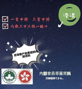 澳门与香港三中三码精准100%,综合研究解释落实