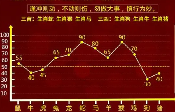 一肖一码一必中一肖,精选解释解析落实