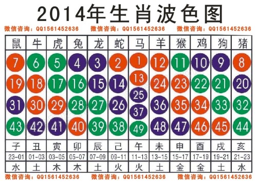 2025十二生肖49码表,实证分析解释落实