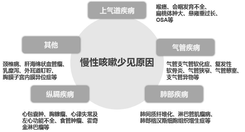 连续咳嗽半个月，探寻病因与应对之策