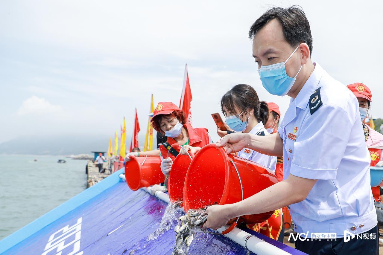 广东省海域地图概览，丰富的海洋资源及其重要性