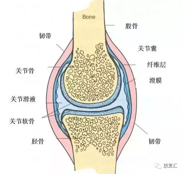 关于滑膜炎恢复过程的深度解析，至少需要三到六个月吗？