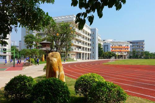 广东省深圳市宝安局，推动地方发展的核心力量