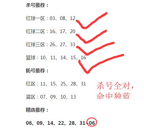 解读时间跨度，从33周1天到月份转换的奥秘