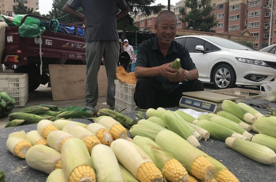 江苏鲜讯科技，引领科技创新的先锋力量