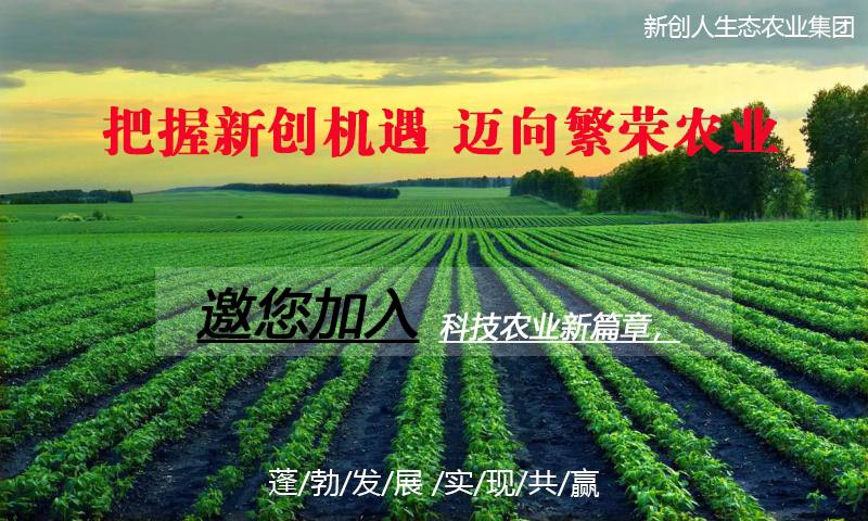 江苏大豆科技杂志，引领农业科技创新的先锋力量