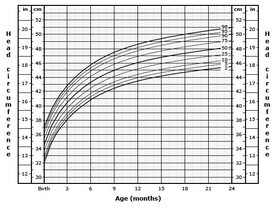 关于两个月宝宝头围正常值的研究与探讨