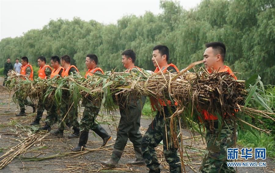 江苏师范与西南科技，两所高校的独特魅力与协同发展之路