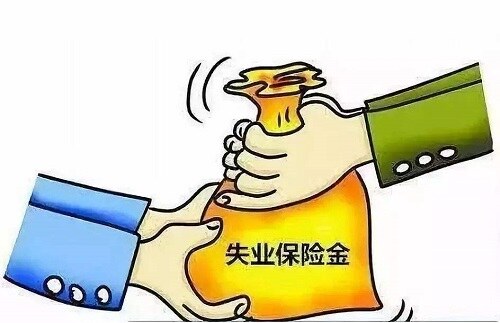 失业金一个月能领多少，深度解析与理解